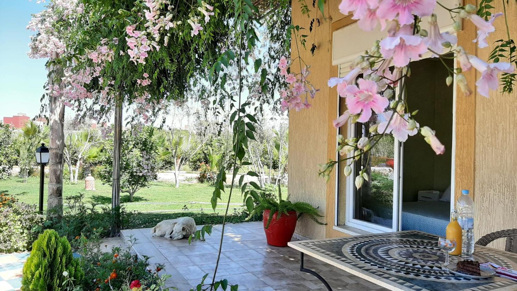 Hotel Dar Beynana Sidi Bibi Pokój zdjęcie